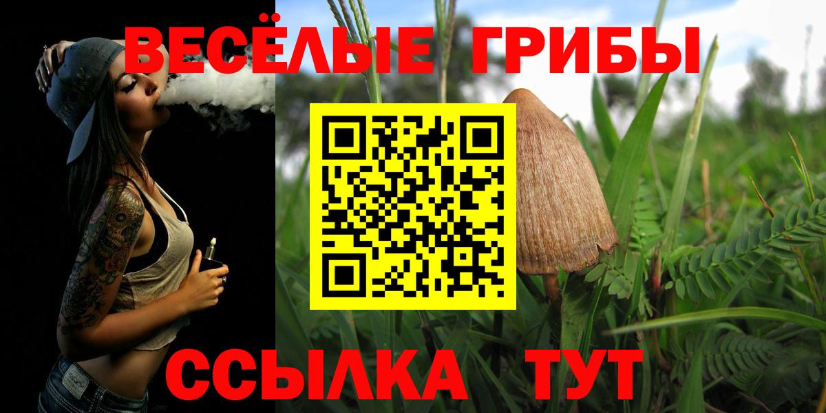 Кохма  Галлюциногенные грибы мицелий  Галлюциногенные грибы мицелий  Вход с VPN 